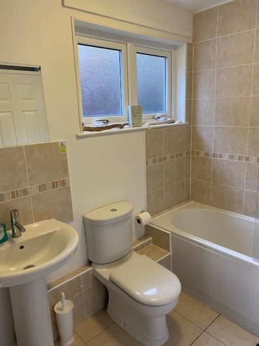 3 Bedroom Lodge With Hot Tub On Lovely Quiet Holiday Park In Cornwall Gunnislake Dış mekan fotoğraf